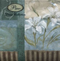 Chic Lily